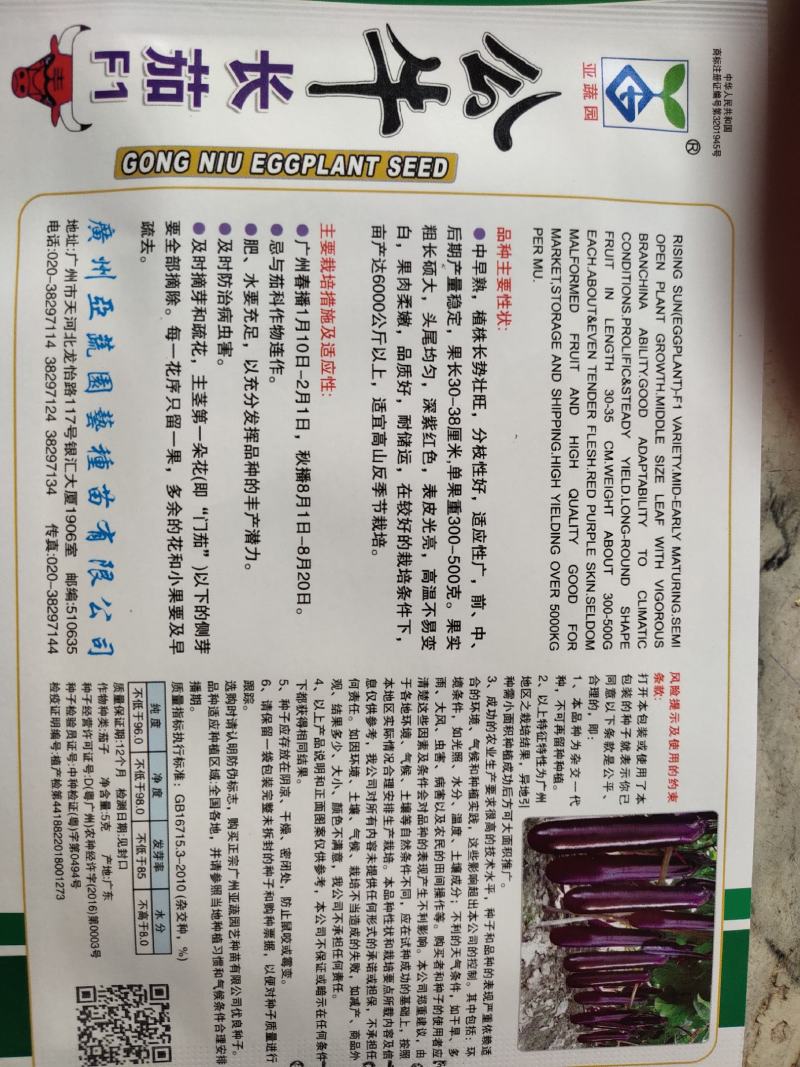 公牛茄子，中早熟，植株长势壮旺，分枝性好果长38厘米