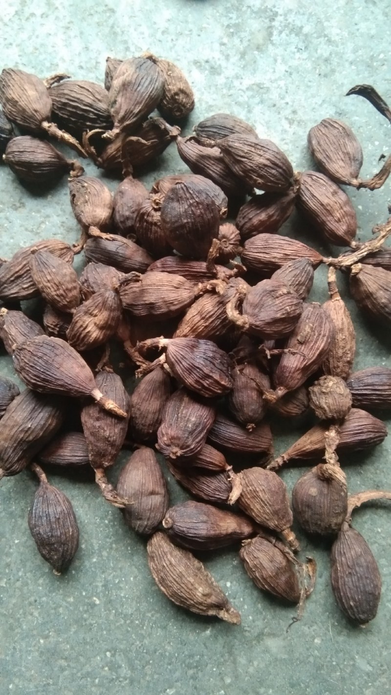 干草果，云南产地直销。统货