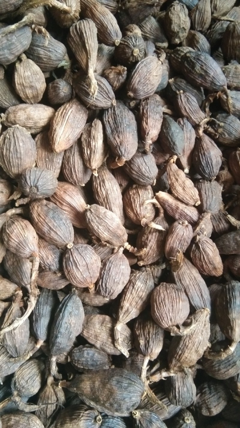 干草果，云南产地直销。统货