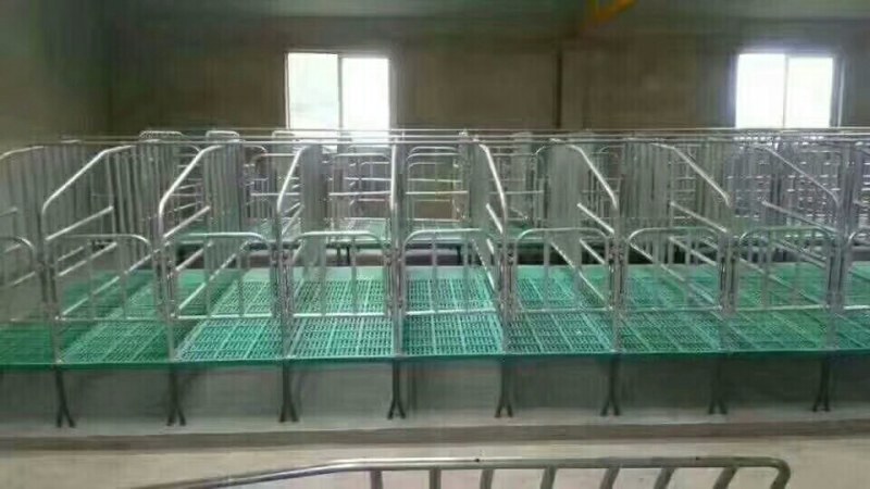母猪产床定位栏保育床厂家直销质优价廉量大优惠