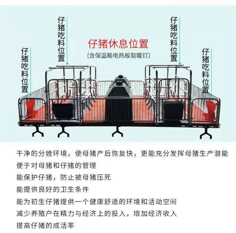 母猪产床定位栏保育床厂家直销质优价廉量大优惠