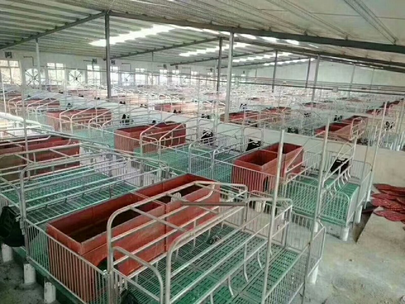 母猪产床定位栏保育床厂家直销质优价廉量大优惠