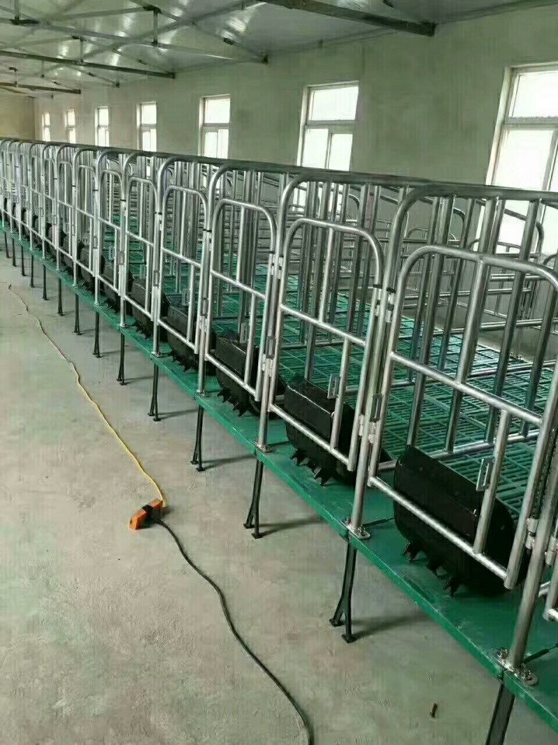 母猪产床定位栏保育床厂家直销质优价廉量大优惠