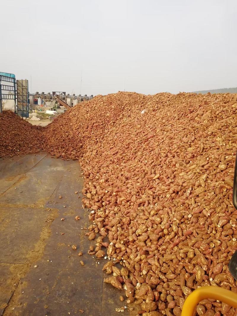 山东红薯粉条粉皮厂家批发各种规格价位地区批发