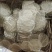 山东红薯粉条粉皮厂家批发各种规格价位地区批发