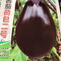 荷包二号茄子，早熟乌黑发亮，抗病，高产，一代杂交，耐病，