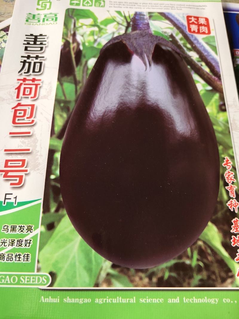 荷包二号茄子，早熟乌黑发亮，抗病，高产，一代杂交，耐病，