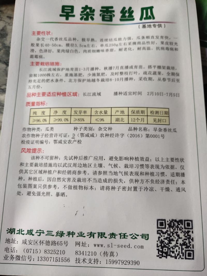 丝瓜。极早熟，杂交一代香瓜连续结瓜力强，