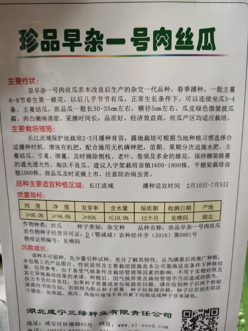 珍品早杂一号肉丝瓜，可连续坐瓜3-4条，长。30_35c