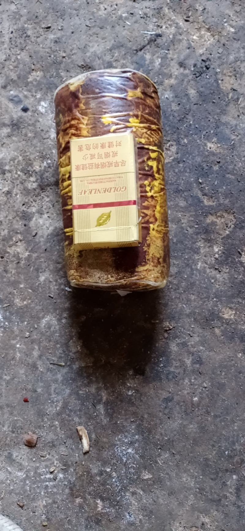 桑黄菌种西峡县科达菌种厂在本厂买菌种的客户免费送种植技术