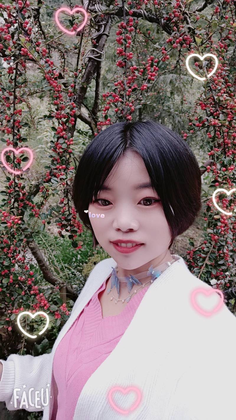红花平枝荀子，白花荀子，地石榴铺地蜈蚣