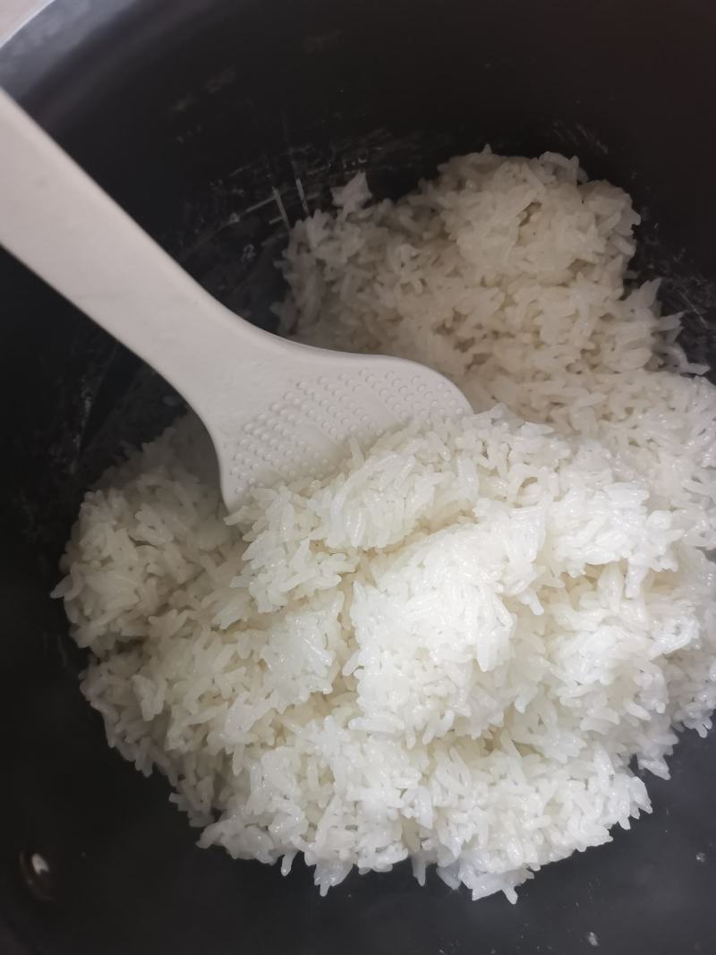 北方粮食农户自产自销五常稻花香大米量大从优
