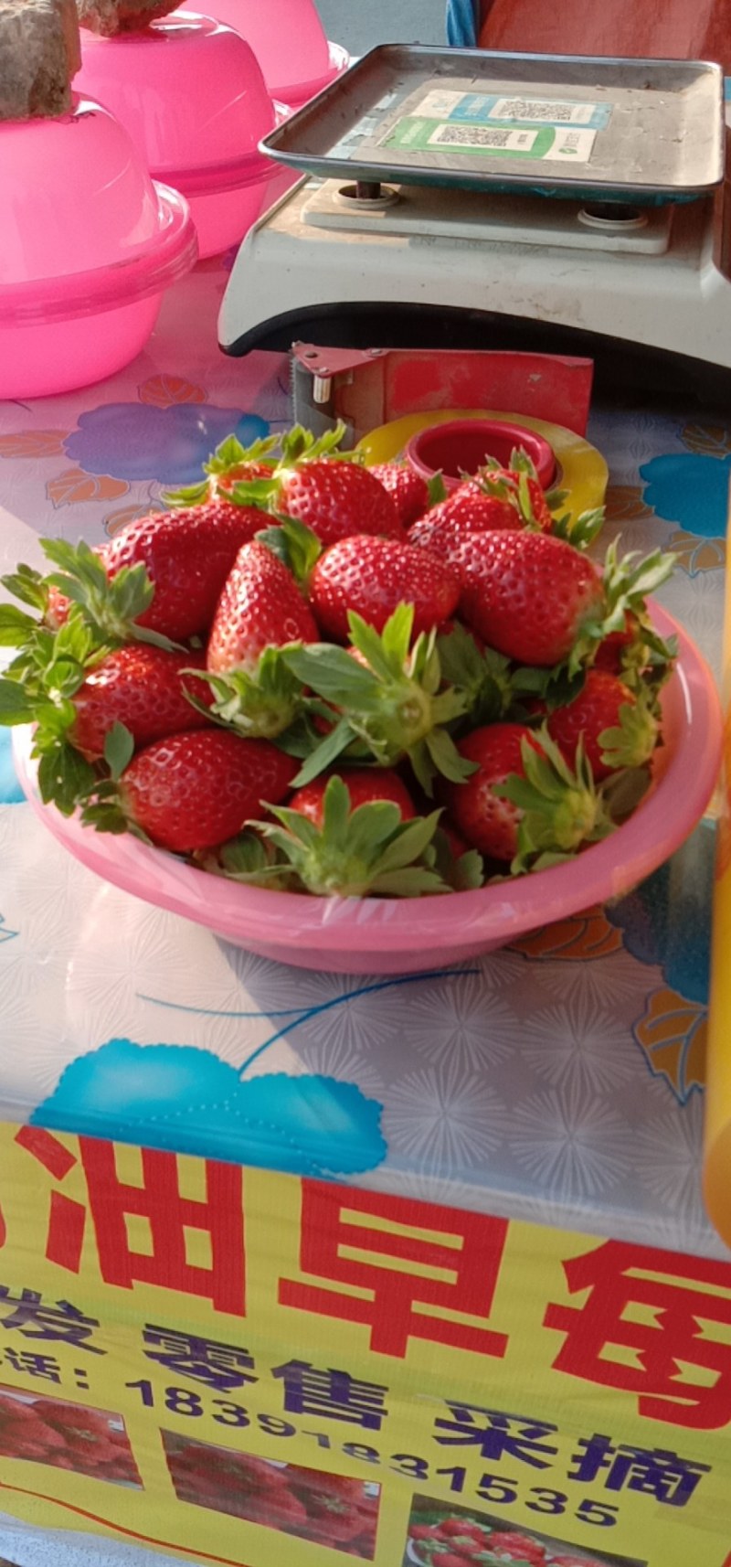 富平县草莓，大量精品草莓上市