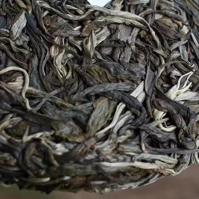 易武刮风寨秋茶