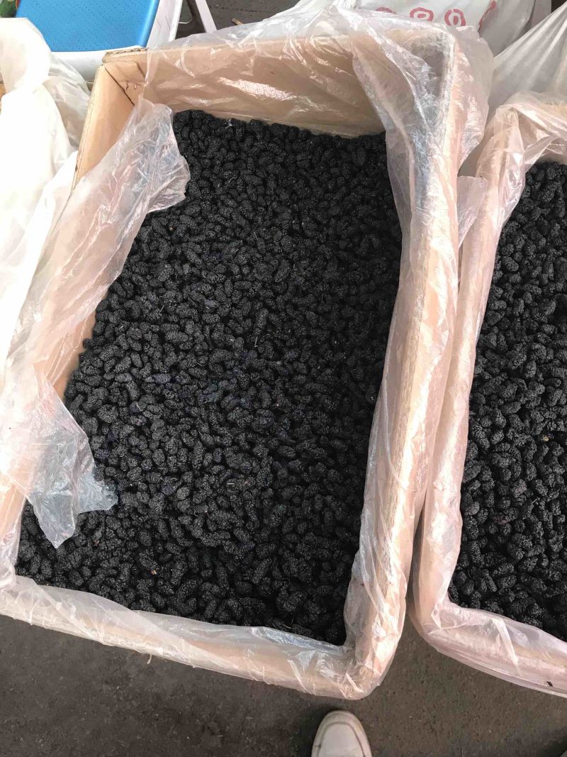 桑葚子无硫干货桑葚子包含量干净无杂质产地直销