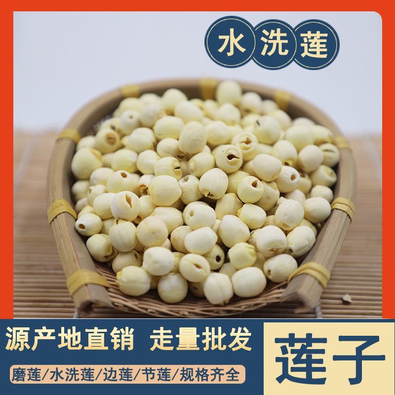 莲子去芯水洗莲节边红白莲子磨皮通心莲江西福建源产地