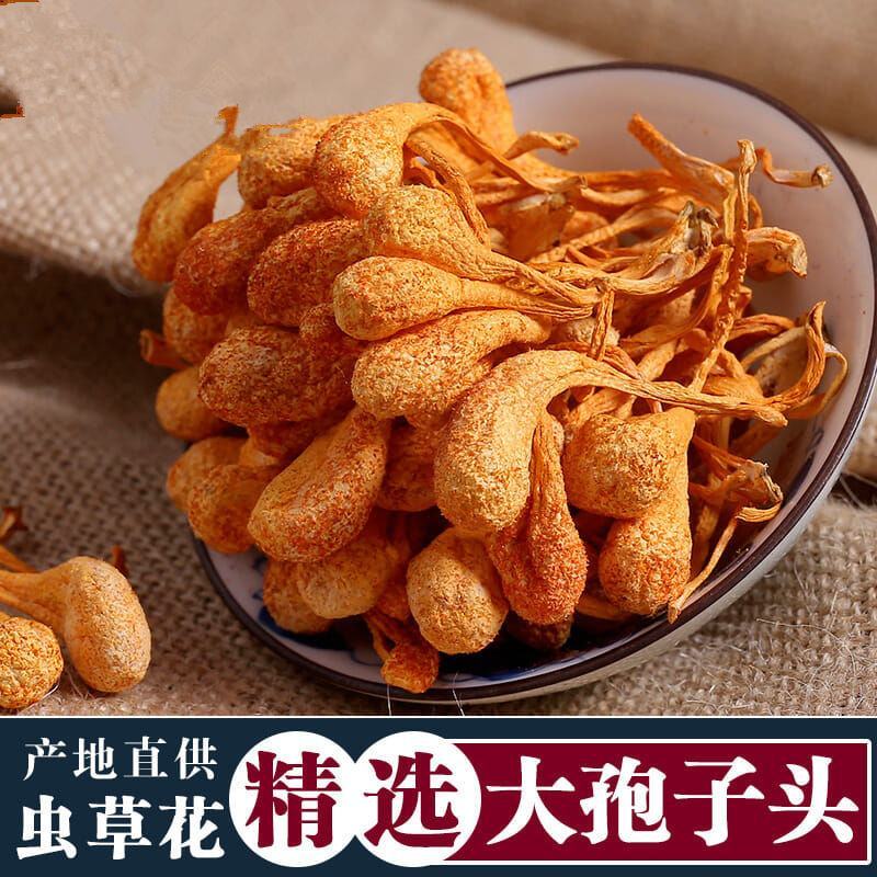 虫草花金虫草豹子头排草精选无硫中药材内蒙古沈阳原产地批发