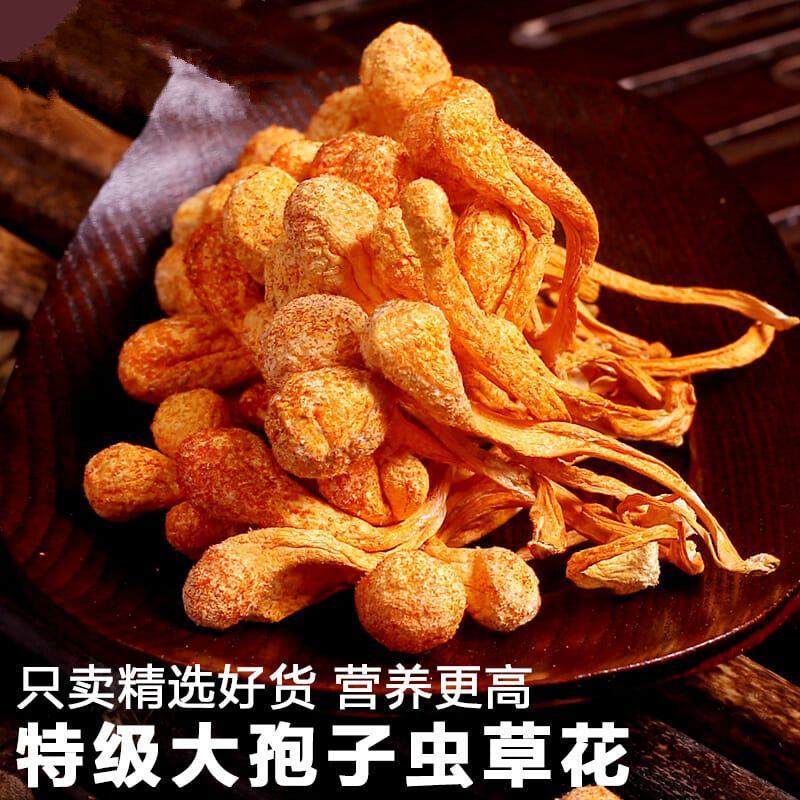 虫草花金虫草豹子头排草精选无硫中药材内蒙古沈阳原产地批发