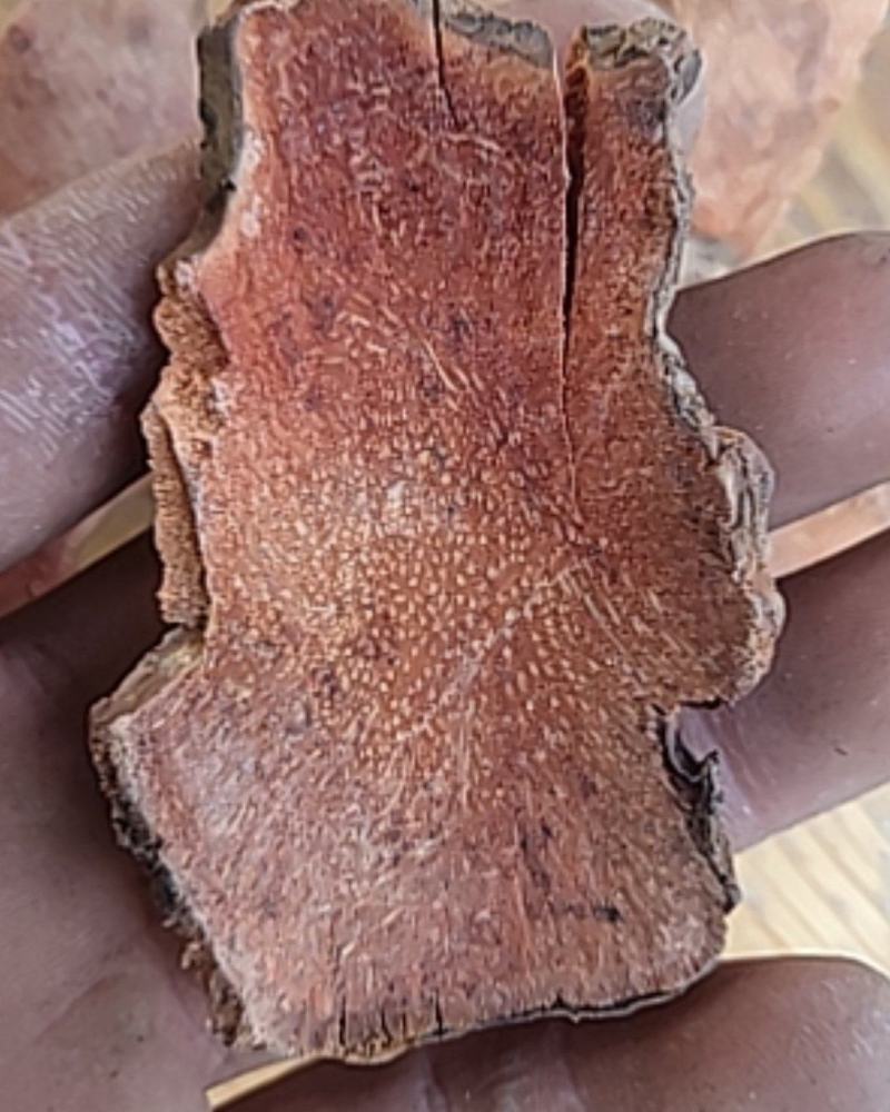 土茯苓红肉质新货无硫地道药材批发各种规格中药材