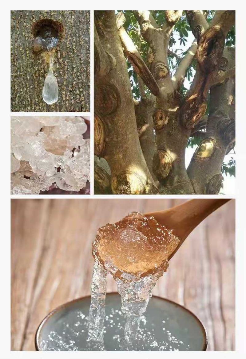 雪燕植物燕窝拉丝雪燕皂角米组合食用缅甸云南源产地批发