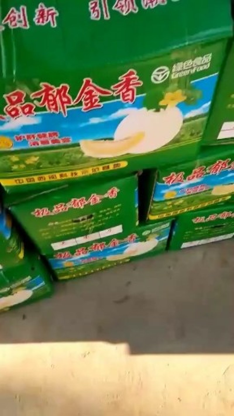 大荔县各种甜瓜白皮白肉黄怕皮红肉白皮红肉，东方密