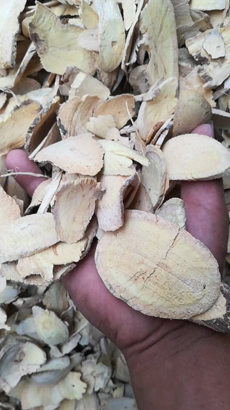 赤苍藤尿酸藤批发各种中草药材