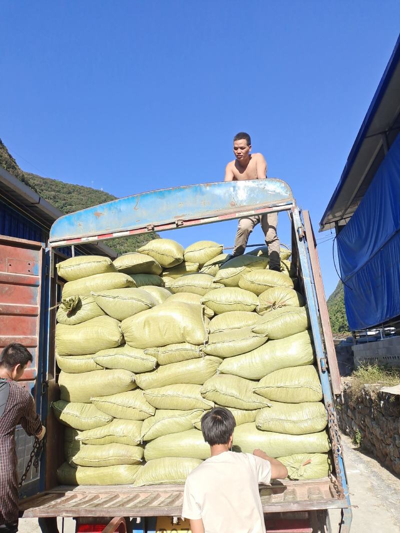 纯羊粪温性有机肥不烧根的肥料，肥肥肥料料
