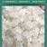 雪燕拉丝雪燕植物燕窝皂角米组合食用缅甸云南产地批发