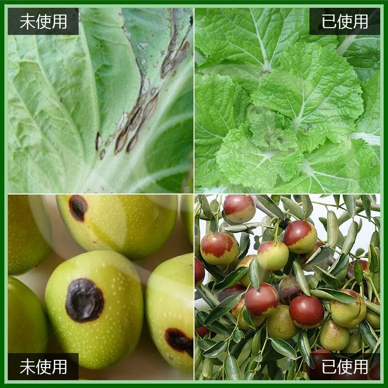 德国巴斯夫百泰吡唑代森联葡萄霜霉炭疽病进口农药杀菌剂