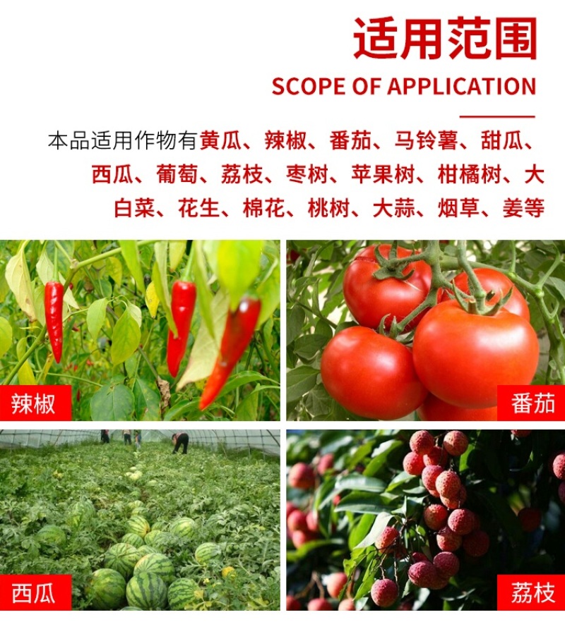 德国巴斯夫百泰吡唑代森联葡萄霜霉炭疽病进口农药杀菌剂