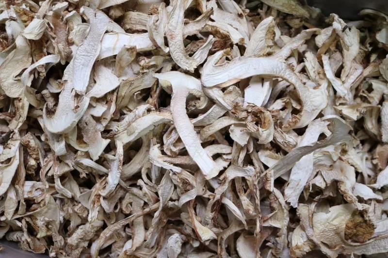 广州人野生大片松茸干营养丰富支持一件代发批发价