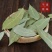 新货级特香叶无碎散装干货调味料优质AA级免费磨粉卤料五斤