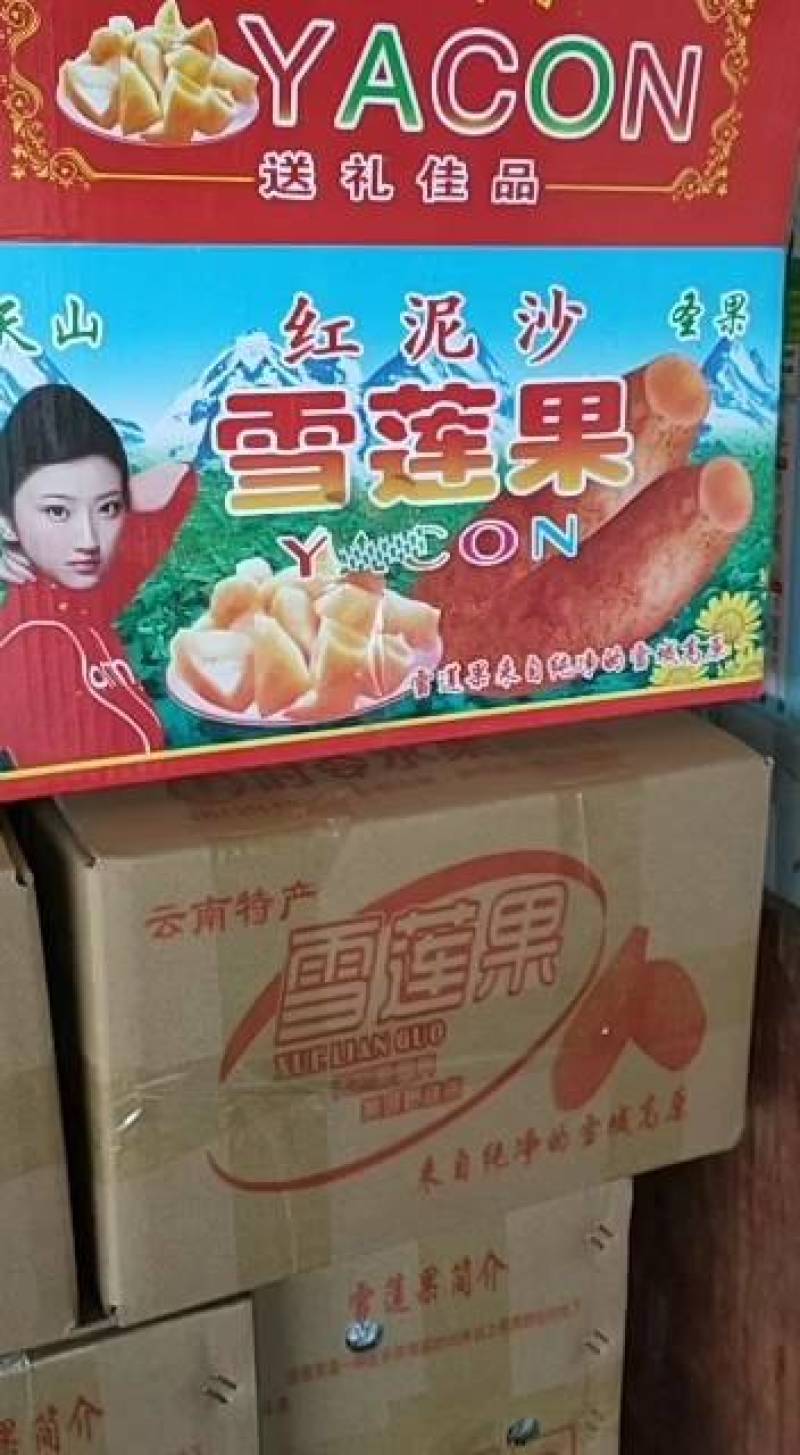 雪莲果25年新果上市了一件代发批发市场精品社区团购