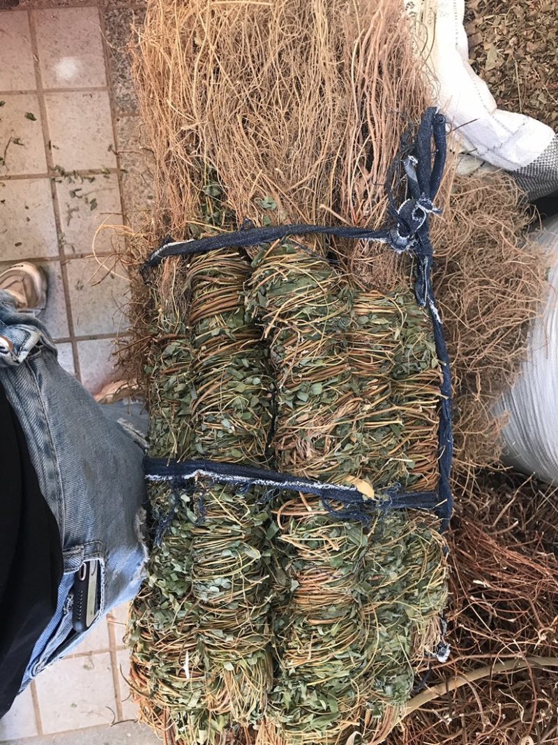 鸡骨草带叶扎把青绿鸡骨草支持线上交易