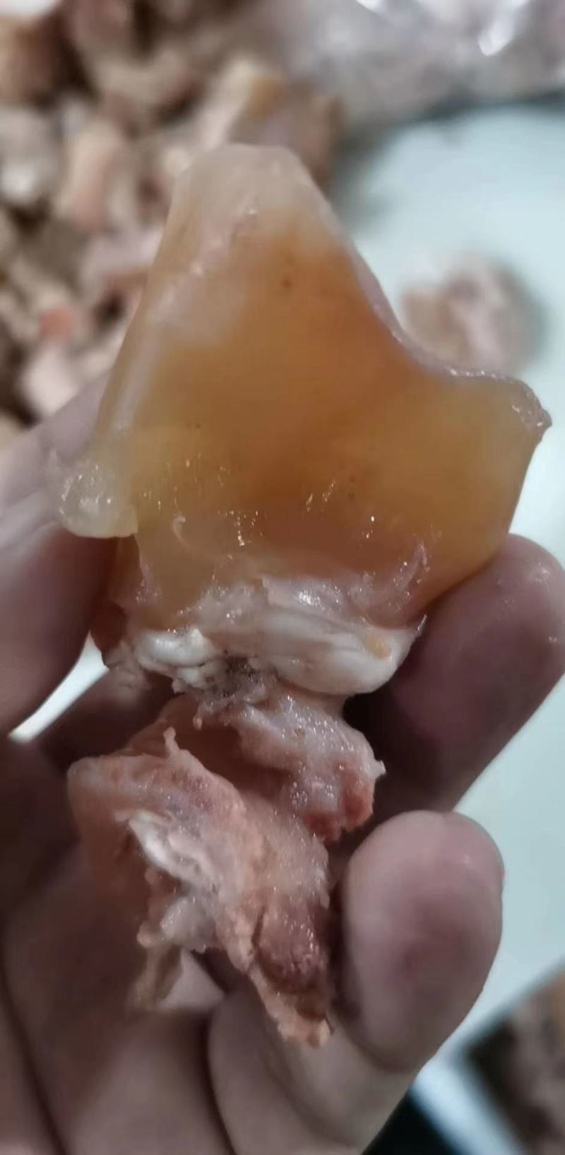 熟筋头巴脑，筋头巴脑纯干货，常年加工，一件也是批发价。