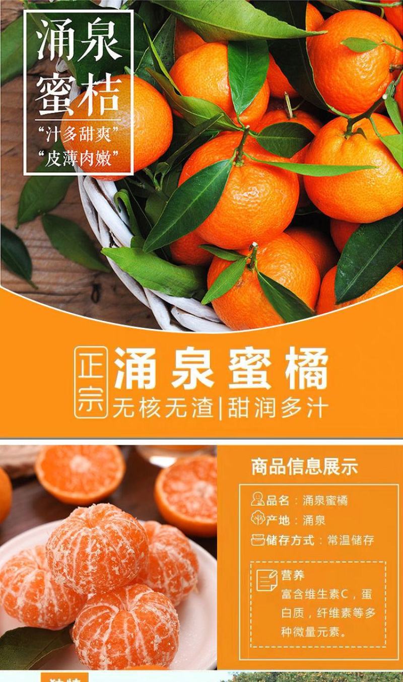 爱媛38苗子。基地直发。保湿发货。买10送1棵