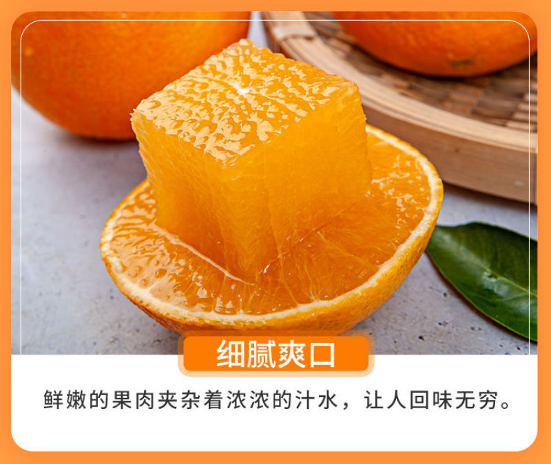 爱媛38苗子。基地直发。保湿发货。买10送1棵