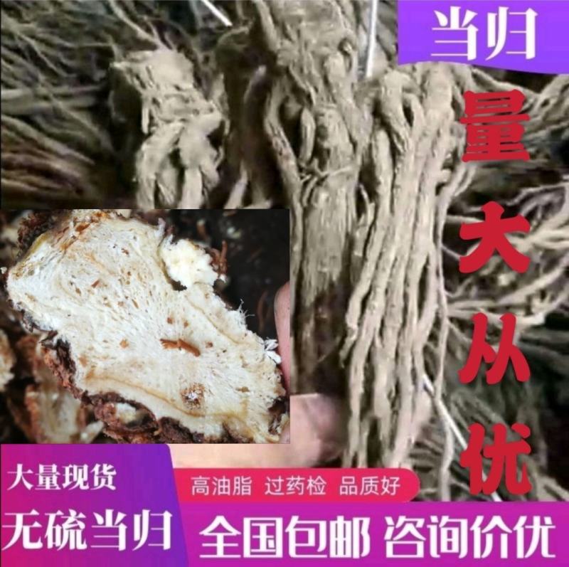 甘肃无硫当归片，当归头，全当归，全国包邮。