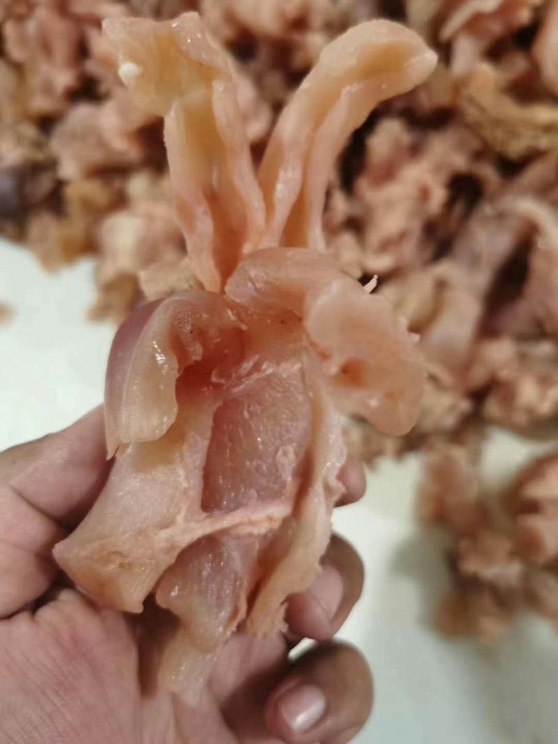 纯干全熟牛蹄筋，大量批发，长期加工。各种生熟牛筋。