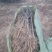 大红袍花椒苗现挖现卖大型花椒树种苗繁育基地