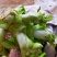 儿菜！榨菜！棒菜！！量大！！！