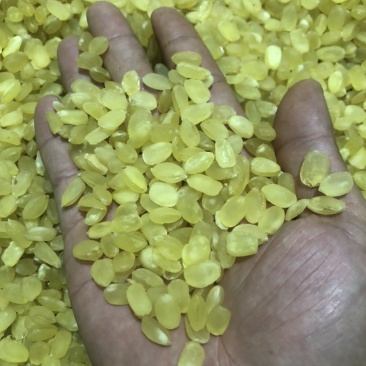 精品皂角米大双荚（雪莲子），