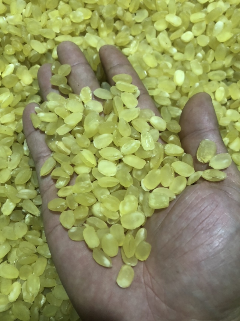 精品皂角米大双荚（雪莲子），