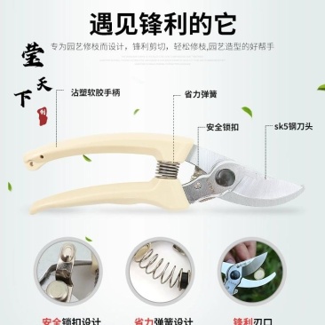 台湾sk5园艺剪果树修枝剪苗木修枝剪花卉修枝剪台湾修枝剪