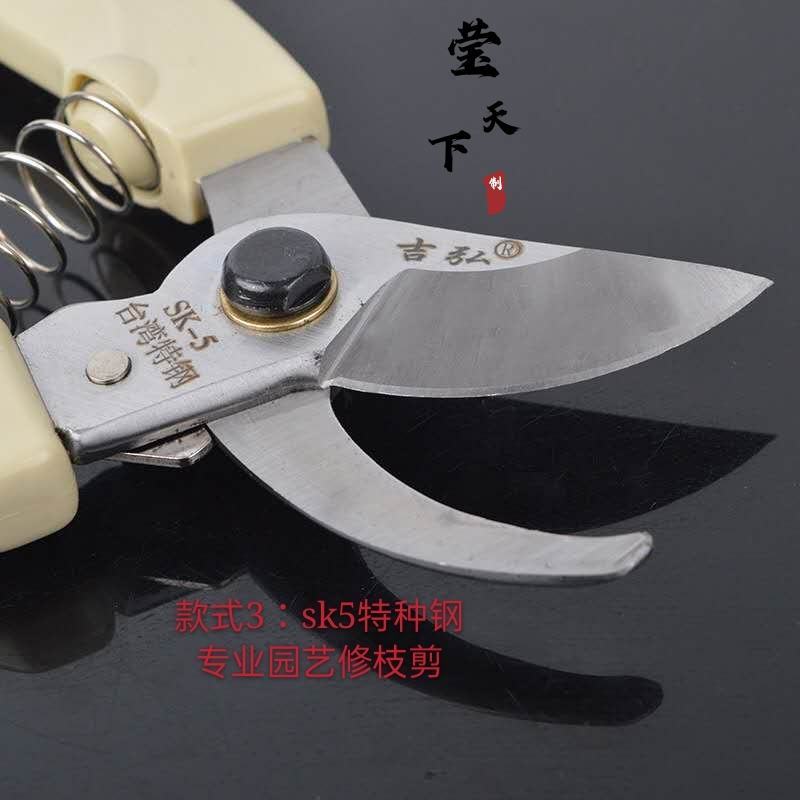 台湾sk5园艺剪果树修枝剪苗木修枝剪花卉修枝剪台湾修枝剪
