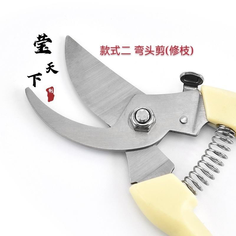 台湾sk5园艺剪果树修枝剪苗木修枝剪花卉修枝剪台湾修枝剪