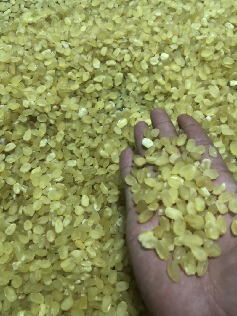 精品皂角米大双荚（雪莲子），