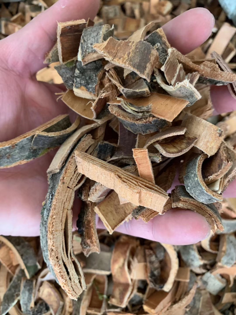 秦皮【包邮】三斤起发货可批量可零售量大从优