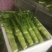 优质精品花叶棒菜。