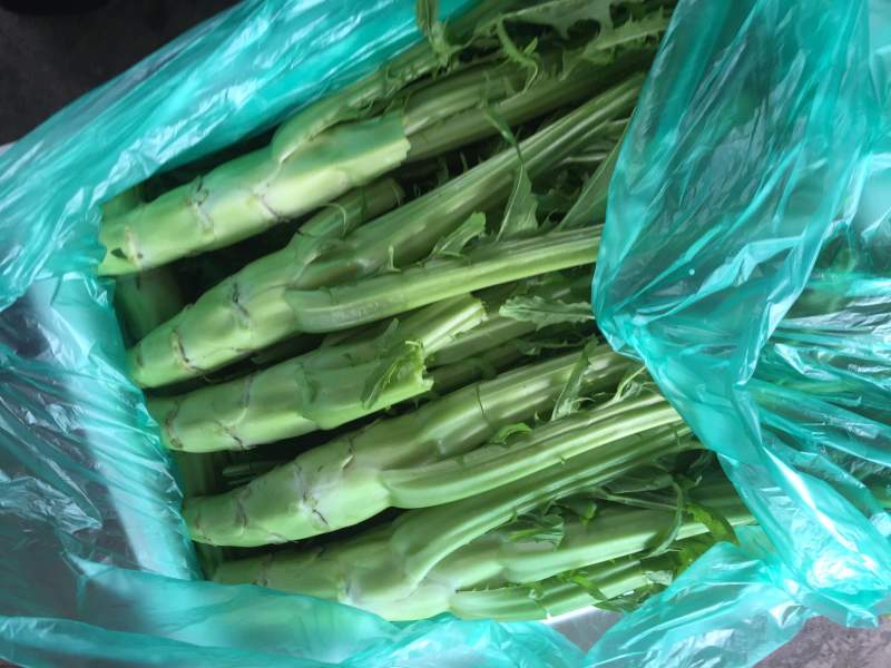 优质精品花叶棒菜。